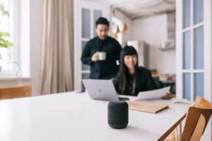 Google Voice vs Alexa mini home